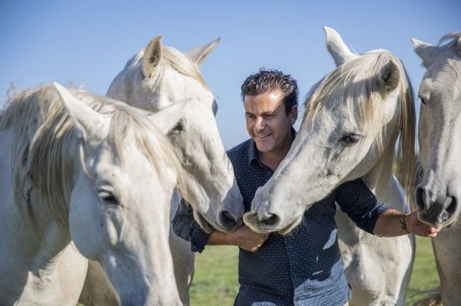 Vincent 'Le Provençal' amoureux des chevaux