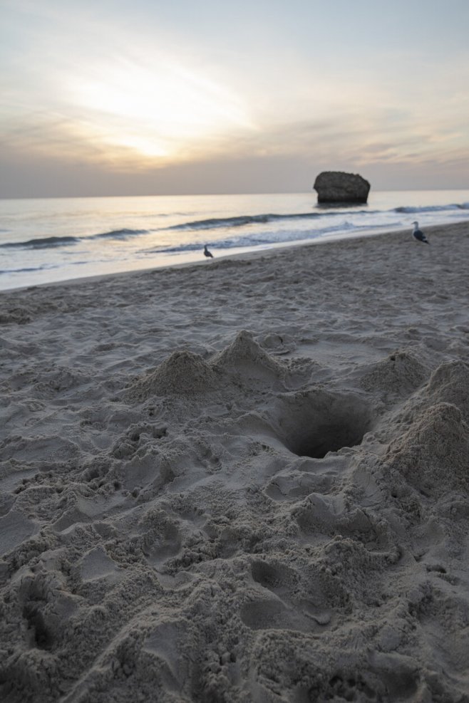 Le trou dans le sable 