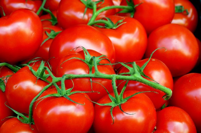 9. Le kilo de tomates