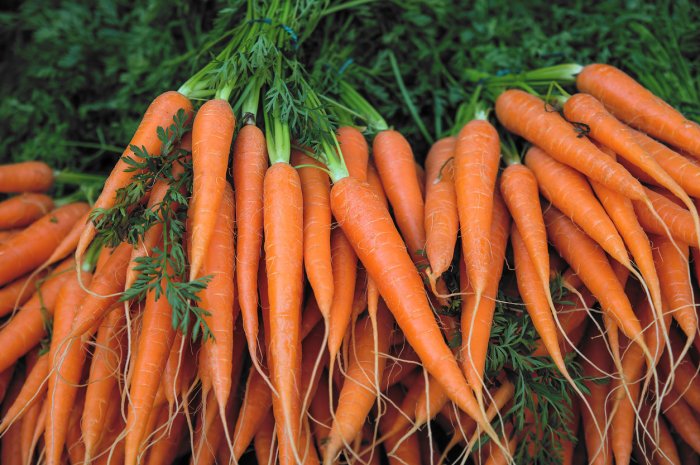 Les carottes "normales"