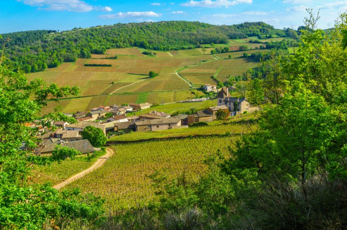 Bourgogne Franche-Comté 