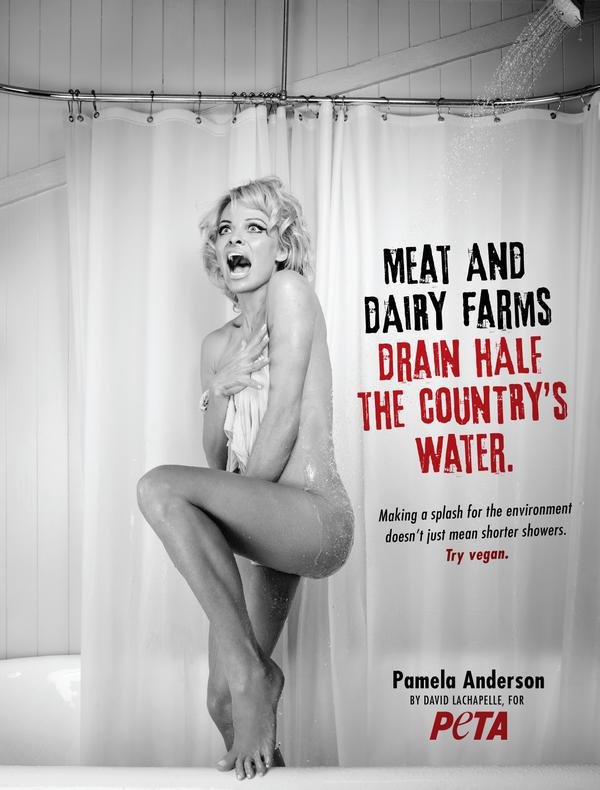 Pamela Anderson pose nue pour la PETA
