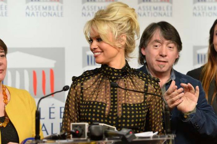 Pamela Anderson à l'Assemblée nationale : des remarques sexistes à gogo