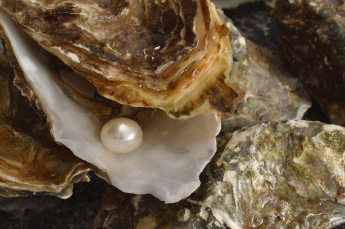 Connaissez-vous le mécanisme de fabrication des perles ?