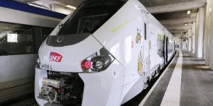 TER trop larges : la SNCF et RFF savaient depuis 2011
