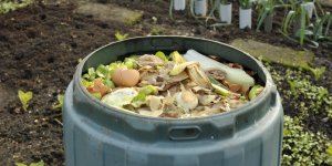 Tri des déchets : quelle est cette poubelle spéciale biodéchets bientôt dans tous les foyers ?