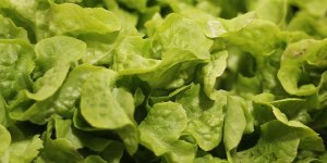 Risque de Listeria : de la salade rappelée par Leclerc et Monoprix