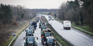 Colère des agriculteurs : tous les métiers qui pourraient se mettre en grève