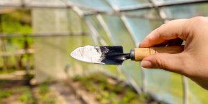 Bicarbonate de soude : 10 astuces pour l’utiliser dans le jardin