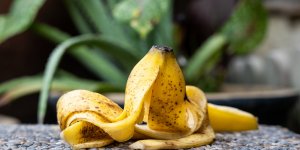 Peaux de banane : 6 astuces pour les réutiliser à la maison et au jardin