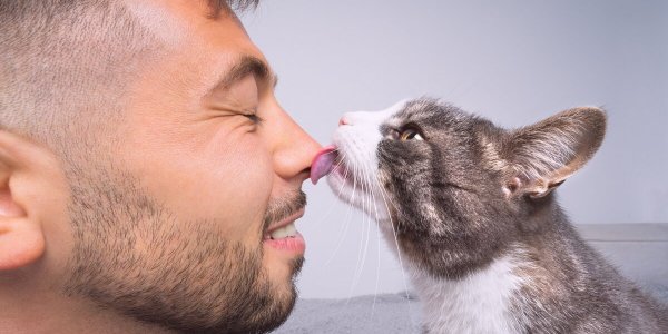 Avec "Chat-necdotes", voici 10 chats les plus drôles du web (et ils vont vous épater)
