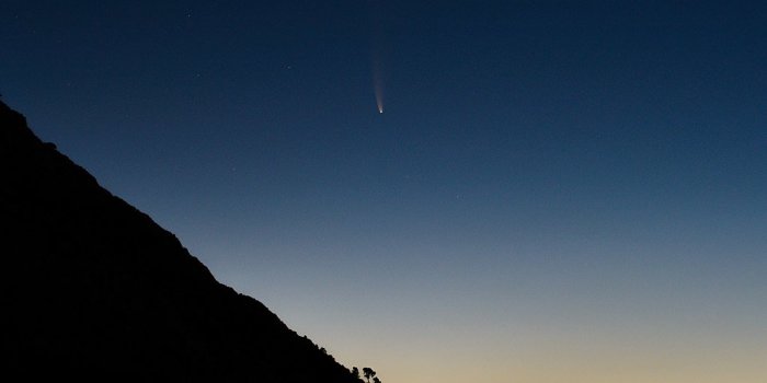 Comète Neowise : comment l'observer jusqu'à fin juillet ?