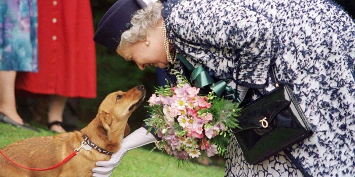 Mort d&rsquo;Elizabeth II : les plus belles photos de la reine avec ses corgis