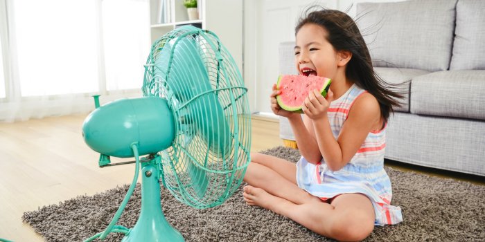 Ventilateur : 5 astuces pour augmenter son efficacit&eacute; quand il fait (vraiment) tr&egrave;s chaud