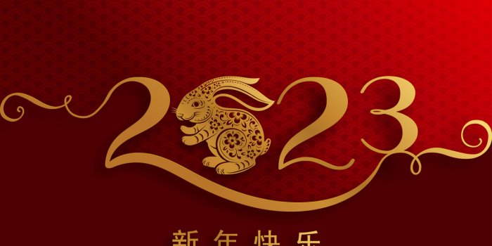Nouvel An chinois : quel est votre horoscope pour l'ann&eacute;e du Lapin d'Eau ?