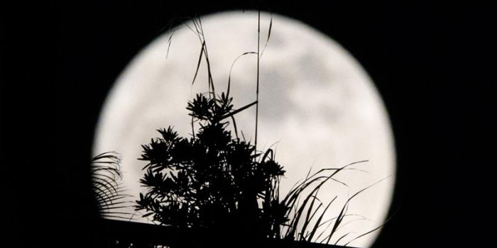 La "super Lune" est de retour Vignette-focus